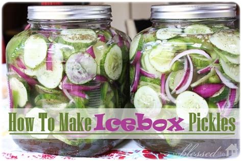 how-to-make-icebox-pickles-my-blessed-life image