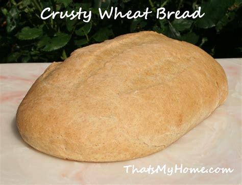 crusty-wheat-white-bread-recipes-food-and-cooking image