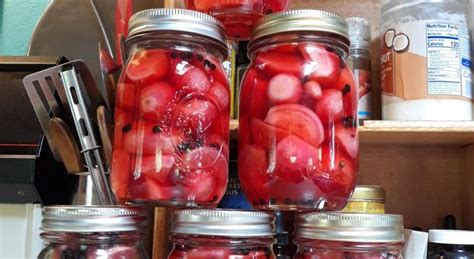 canning-honey-pickled-radishes-and-radish-relish image