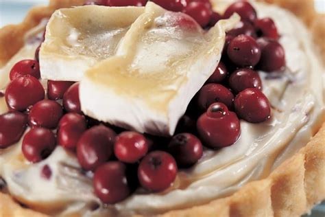 brie-cranberry-tarts-canadian-goodness image