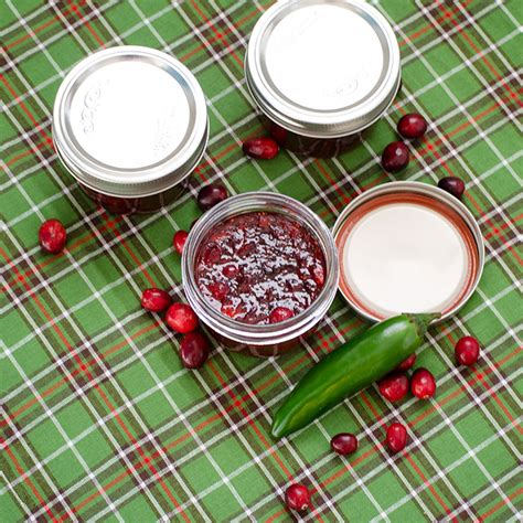 quick-cranberry-jalapeno-jelly-real-mom-kitchen-jam image