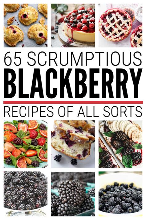 the-best-fresh-and-frozen-blackberry-recipes-sloely image