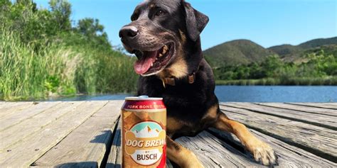 busch-beer-launches-dog-brew-a-beverage-made image