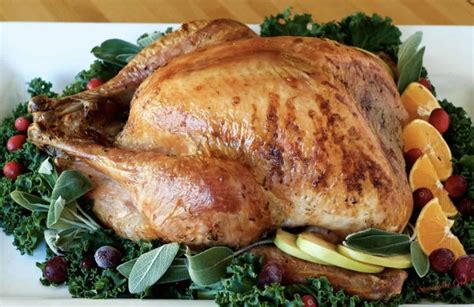 juicy-turkey-recipe-savoring-the-good image