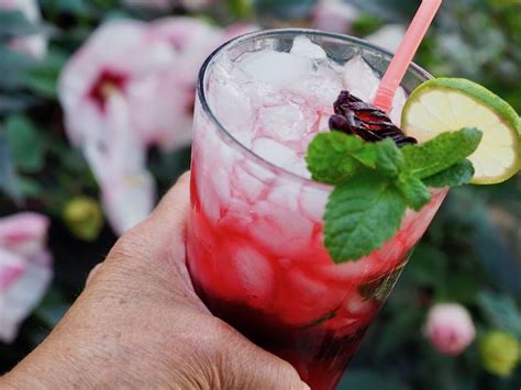 best-hibiscus-mojito-cocktail-or-mocktail-the-fresh image
