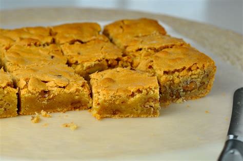 chewy-pecan-bars-more-sweets-please image