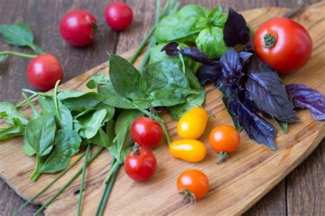 fresh-tomato-and-herbed-ricotta-bruschetta-simple image