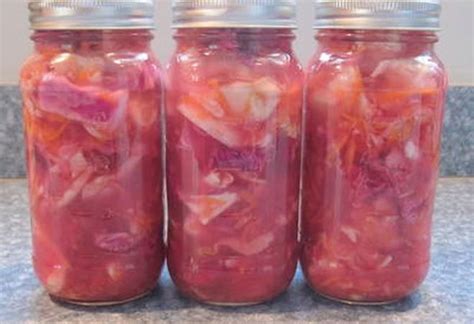 how-to-make-homemade-kimchi-with-pictures-the image