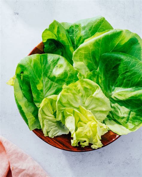 quick-guide-to-butter-lettuce-bibb-lettuce-a image