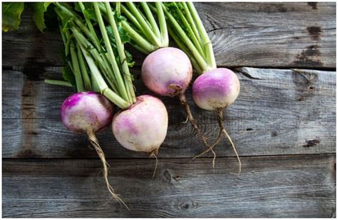 rutabaga-vs-turnip-nutrition-facts-health-benefits-side image