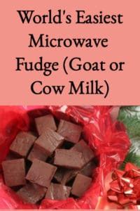 worlds-easiest-microwave-fudge-goat-or-cow-milk image