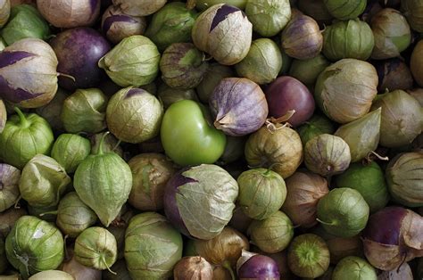 learn-about-tomatillos-origins-cooking-tips-and image