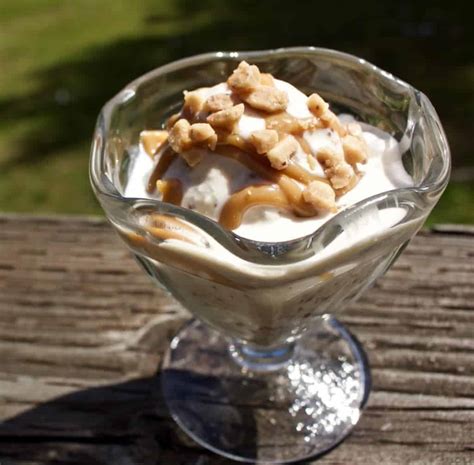 caramel-toffee-bits-ice-cream-homemade-food-junkie image