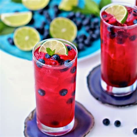 blueberry-mint-limeade-the-foodie-physician image