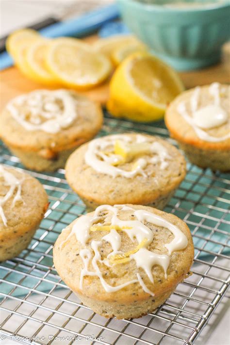 gluten-free-lemon-poppy-seed-muffins-tessa-the image