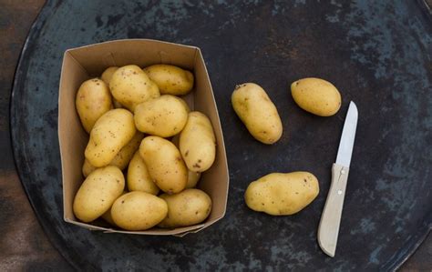 how-to-make-crispy-potatoes-in-a-food-dehydrator image