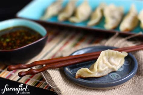 pork-potstickers-with-dipping-sauce-recipe-a-farmgirls-dabbles image