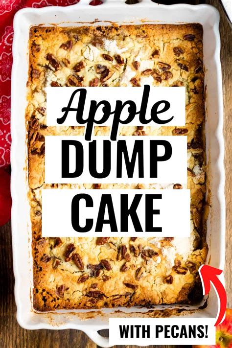 3-ingredient-apple-dump-cake-crayonsandcravingscom image