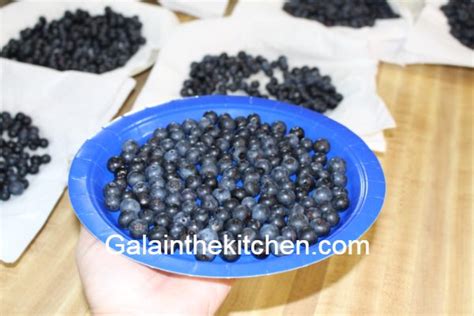 how-i-freeze-fresh-blueberries-in-ziplock-bags-gala-in image