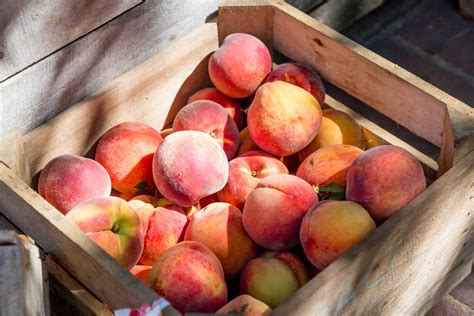 the-best-peach-liqueur-food-for-net image