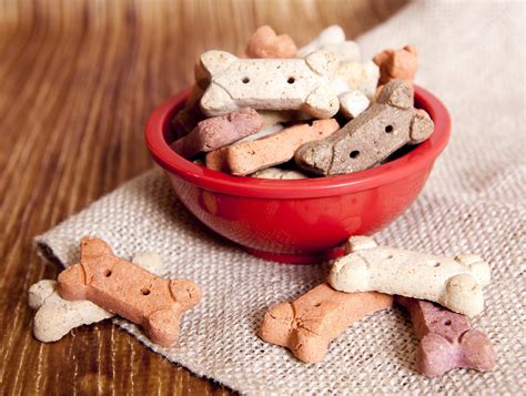 16-healthy-dog-treat-recipes-patchpuppycom image