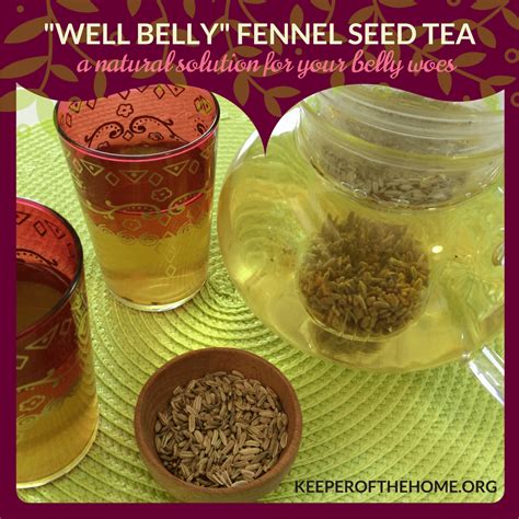 well-belly-fennel-seed-tea-recipe-keeper-of-the-home image