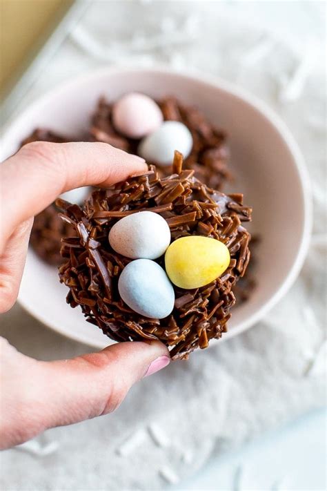 no-bake-chocolate-coconut-nests-eating-bird-food image