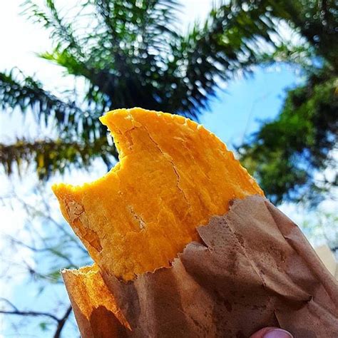would-you-like-to-enjoy-a-jamaican-patty-but-you-do image
