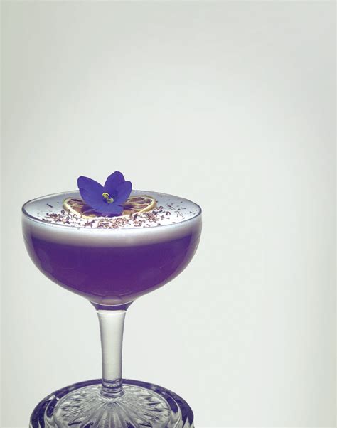 homemade-blueberry-liqueur-edible-alaska image