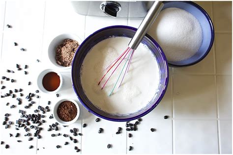 easy-homemade-mocha-ice-cream-recipe-little image
