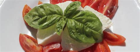 caprese-salad-of-tomatoes-mozzarella-and-basil image