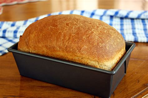 whole-wheat-bread-recipe-easy-wheat-bread-jenny image