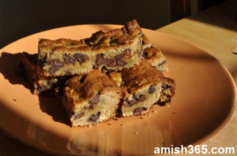 amish-sour-cream-chocolate-chip-pudding-bars image