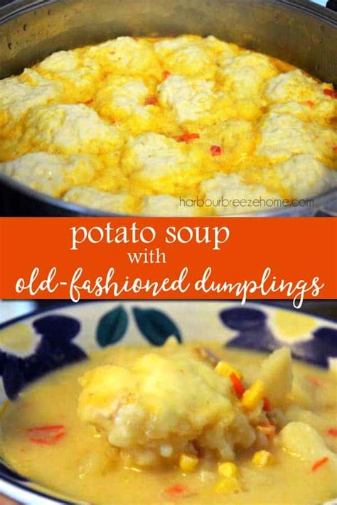 an-easy-old-fashioned-drop-dumpling-recipe-perfect-for image