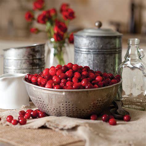8-recipes-to-celebrate-cranberries-paula-deen image