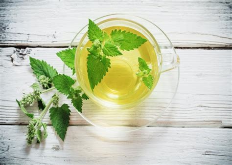 10-surprising-benefits-of-spearmint-tea-on-your-health image