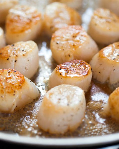 how-to-cook-scallops-on-the-stovetop-kitchn image