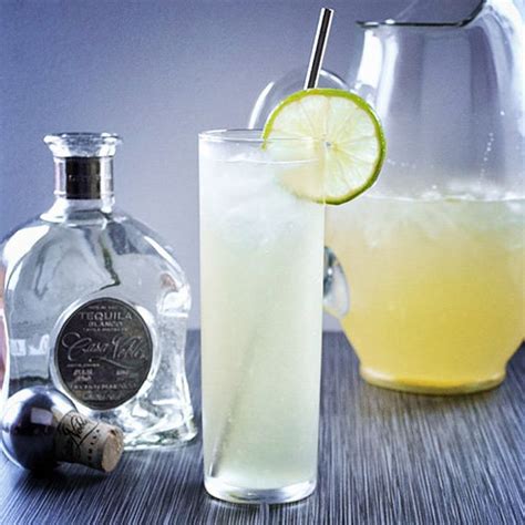 ginger-beer-margarita-cocktail-recipe-liquorcom image
