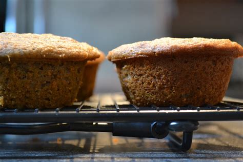 monica-tries-to-cook-buckwheat-and-amaranth-muffins image