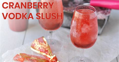 cranberry-vodka-slush-recipe-no-hangover image