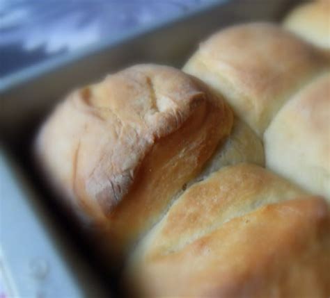 bread-machine-parker-house-rolls-the-english-kitchen image