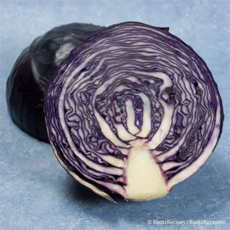 vegetable-rode-kool-red-cabbage-dutch-cuisine image