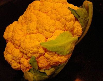 the-story-behind-orange-cauliflower-saveur image