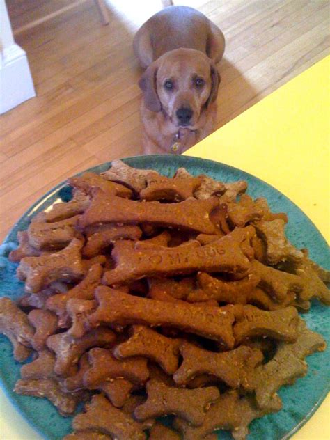 mostly-organic-homemade-dog-biscuits image