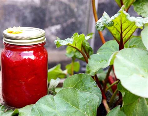 simple-rhubarb-jam-easy-healthy-recipes-for-busy image