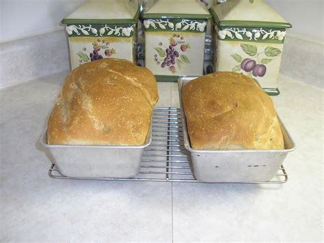 rustic-sourdough-amish-friendship-bread image