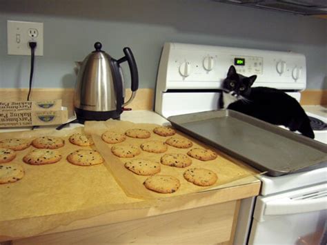 chocolate-chip-cookies-again-elanas-pantry image