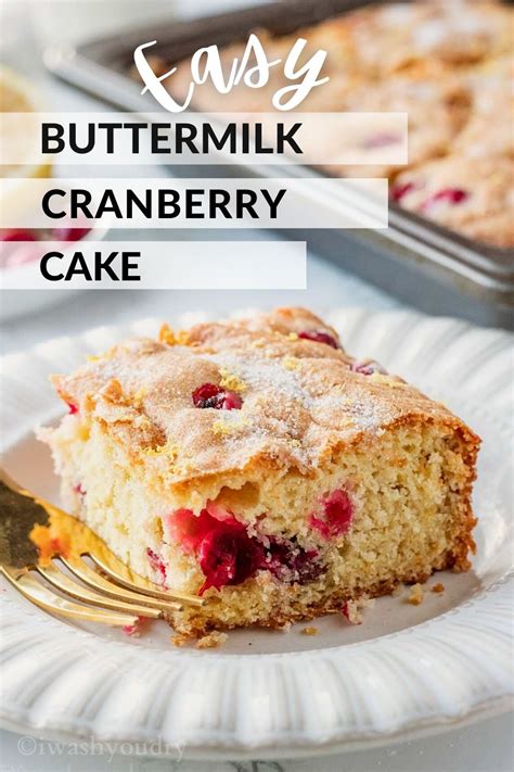 buttermilk-cranberry-cake-i-wash-you-dry image