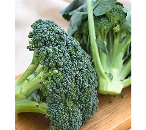 steamed-broccoli-with-oil-and-garlic-lidia image