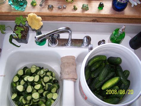 grandma-graces-chunk-pickles-tasty-kitchen image